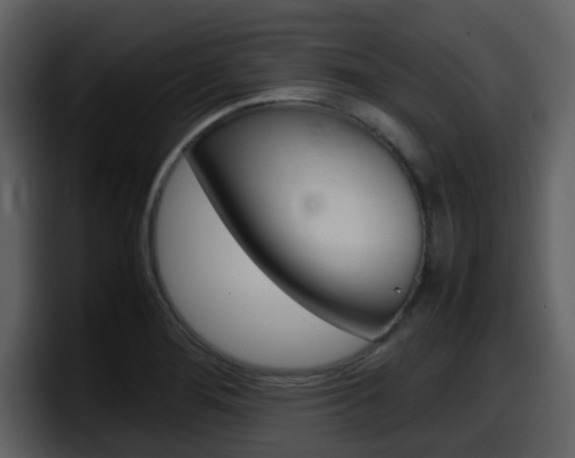 X0000098101276200804040739