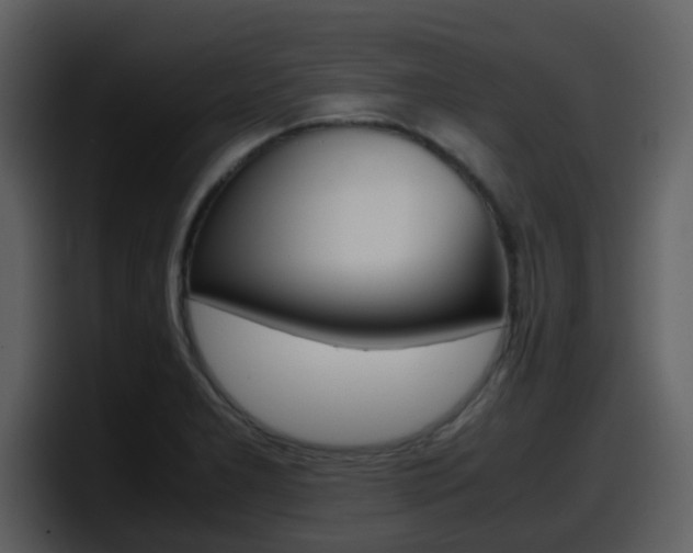 X0000098101277200804040739