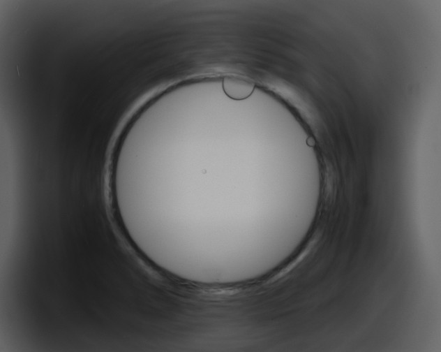 X0000098101278200804040739