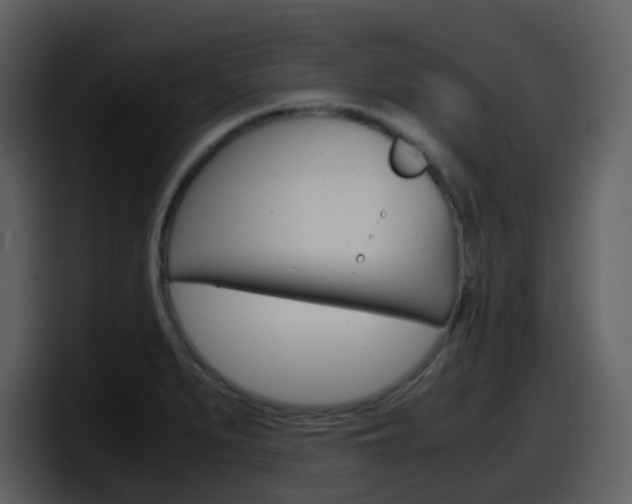 X0000098101279200804040739