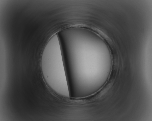 X0000098101281200804040739