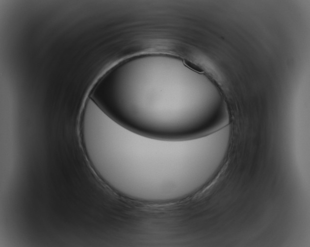 X0000098101284200804040739