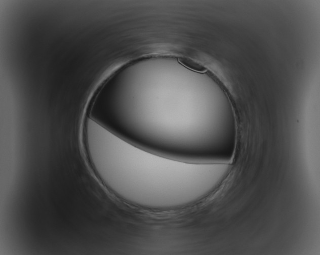 X0000098101285200804040739
