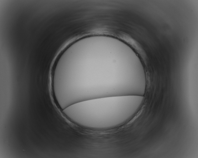 X0000098101286200804040739