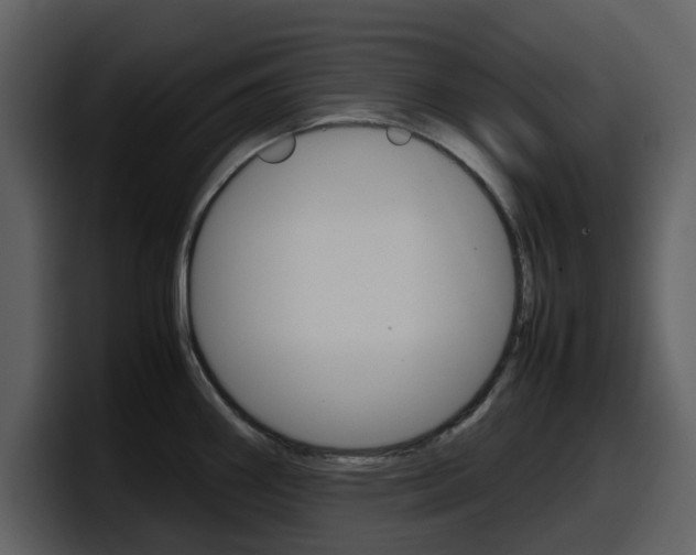 X0000098101290200804040739