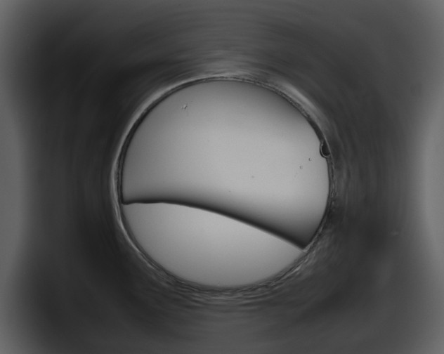 X0000098101291200804040739