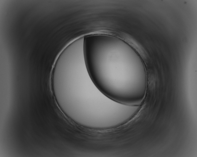 X0000098101292200804040739