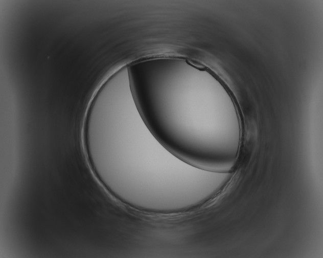 X0000098101293200804040739