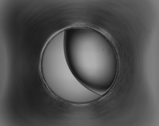 X0000098101296200804040739