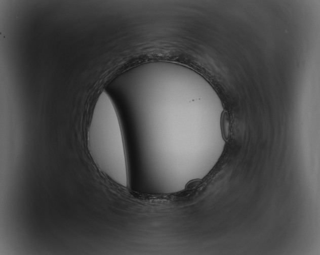 X0000098101297200804040738