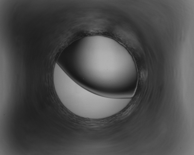 X0000098101300200804040738