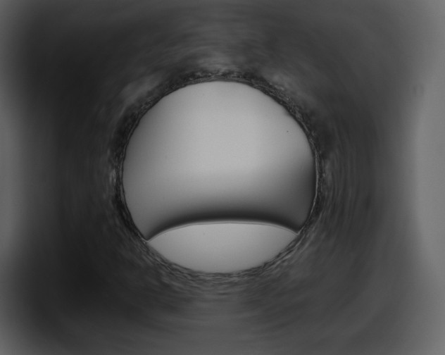 X0000098101302200804040738