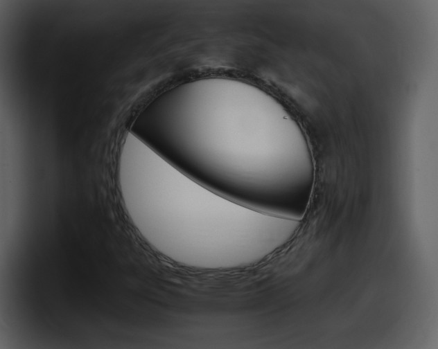 X0000098101303200804040738