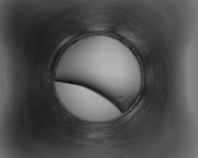 X0000098101306200804040738