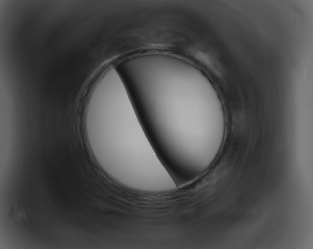 X0000098101307200804040738