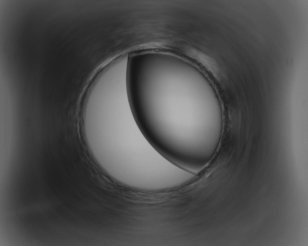 X0000098101308200804040738