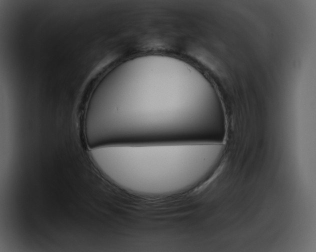 X0000098101309200804040738