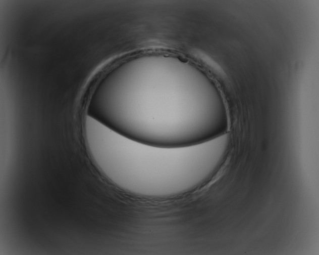 X0000098101310200804040738