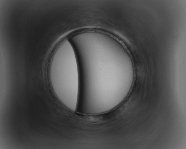 X0000098101311200804040738