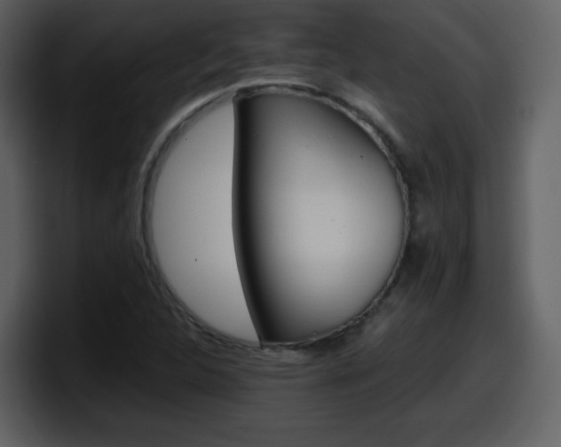 X0000098101312200804040738