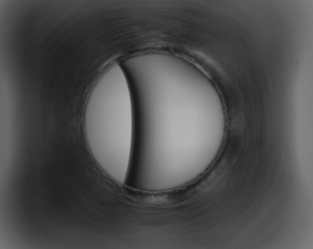 X0000098101313200804040738