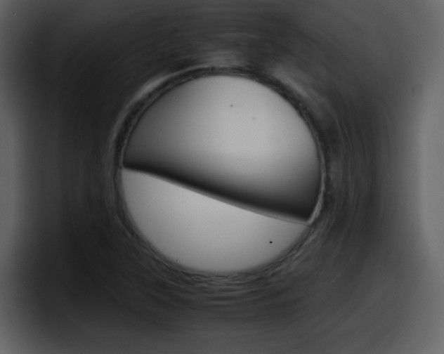 X0000098101315200804040738