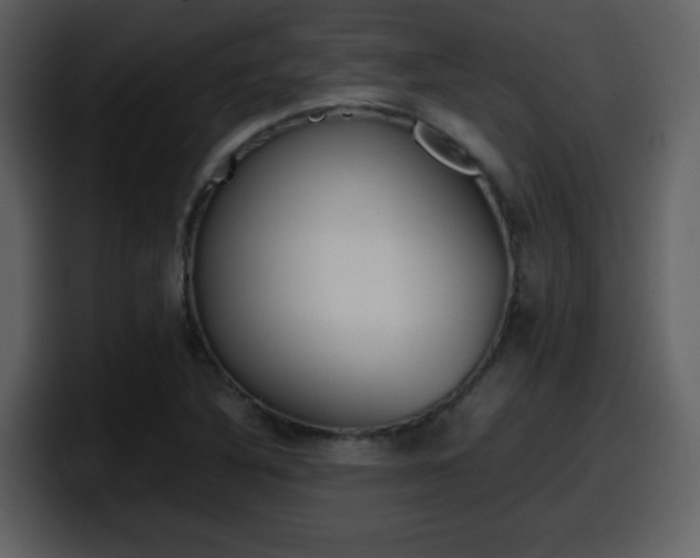 X0000098101316200804040738