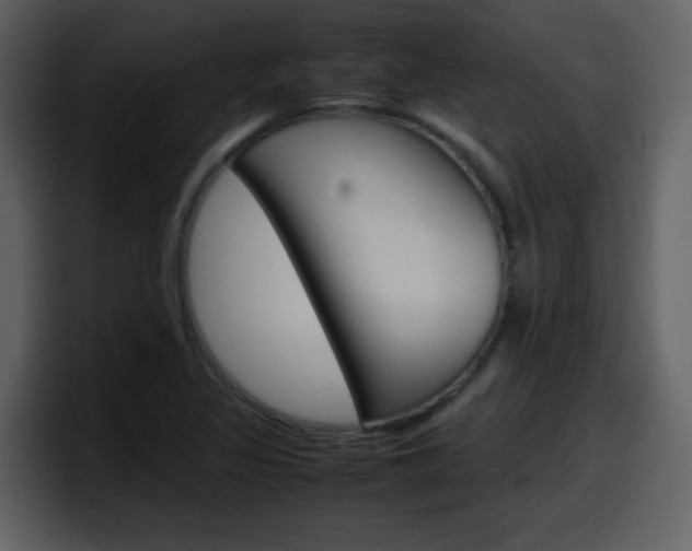 X0000098101317200804040738