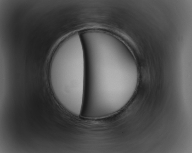 X0000098101318200804040738