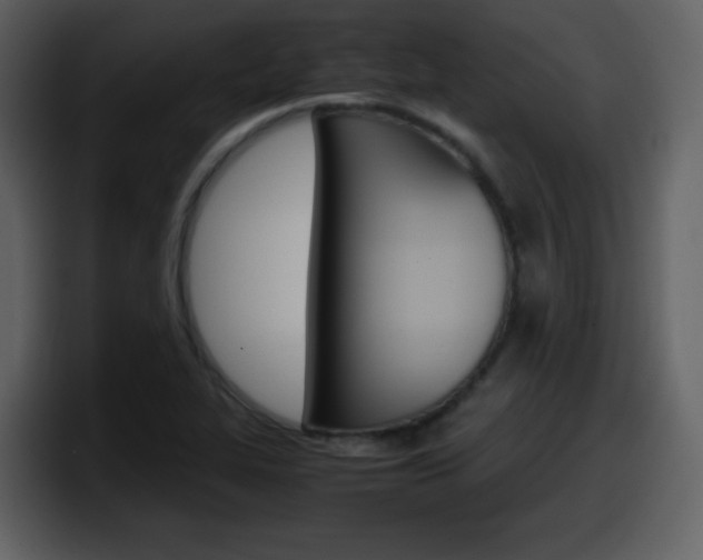 X0000098101319200804040738