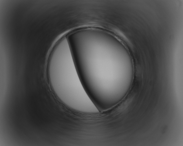 X0000098101320200804040738