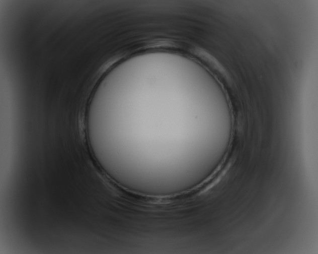 X0000098101321200804040738