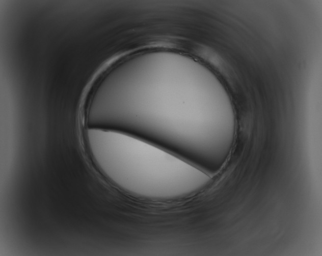 X0000098101323200804040738
