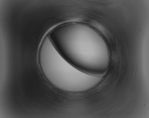 X0000098101324200804040738