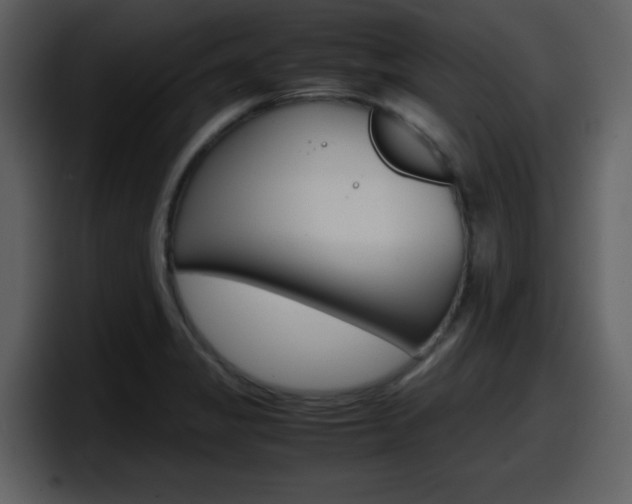 X0000098101325200804040738