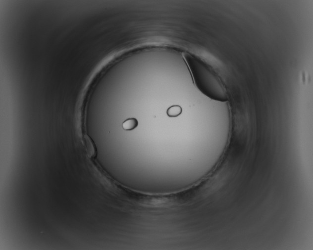 X0000098101326200804040738