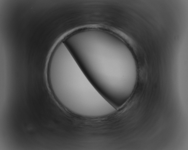 X0000098101327200804040738
