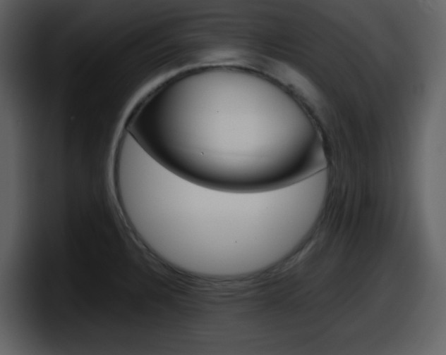 X0000098101328200804040738