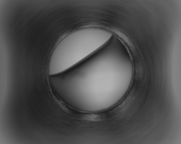 X0000098101329200804040738
