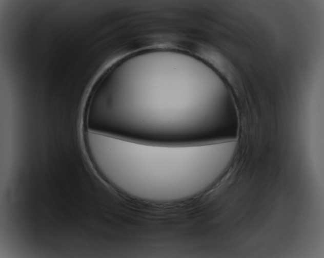 X0000098101331200804040738