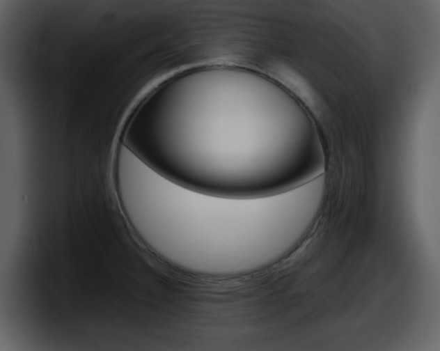 X0000098101332200804040738