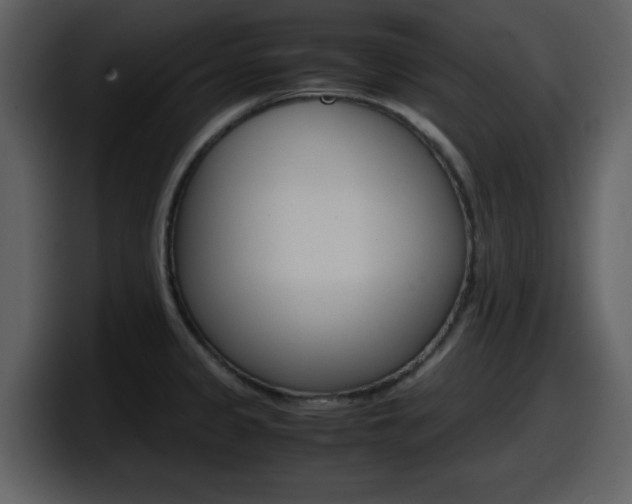 X0000098101333200804040738