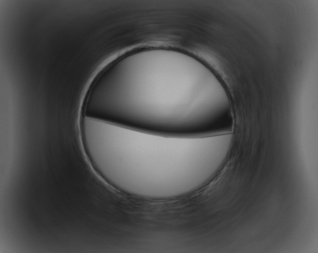 X0000098101335200804040739