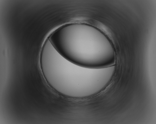 X0000098101336200804040739