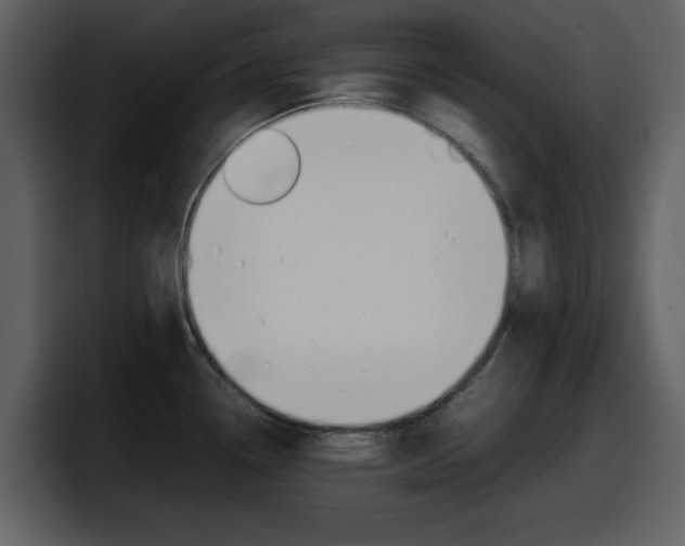 X0000098101338200804040739