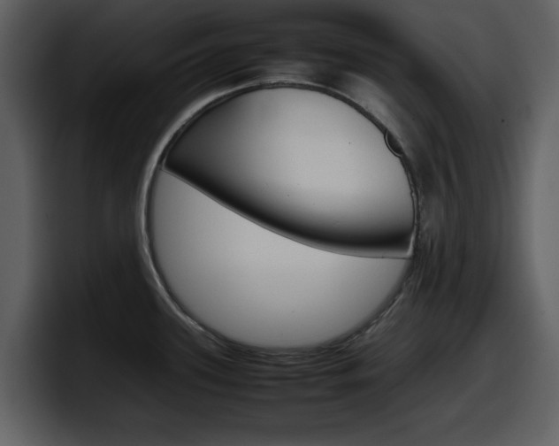X0000098101339200804040739