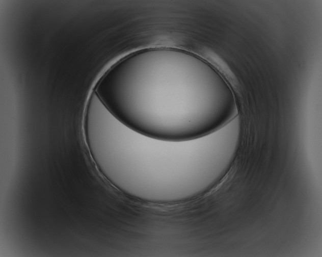 X0000098101340200804040739