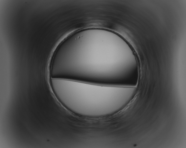 X0000098101341200804040739
