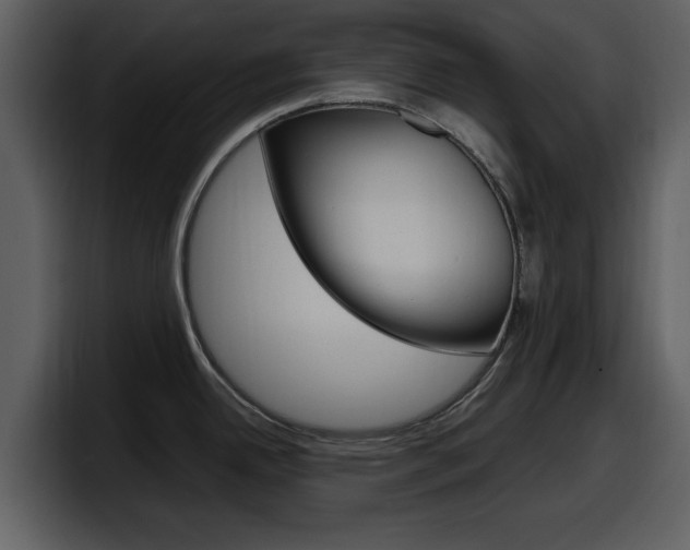 X0000098101342200804040739