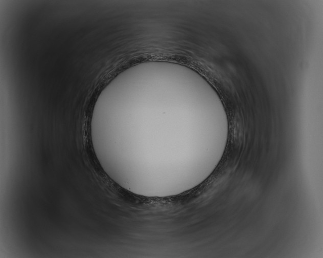 X0000098101346200804040738